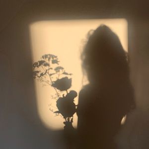 Meet your Posher, Dora